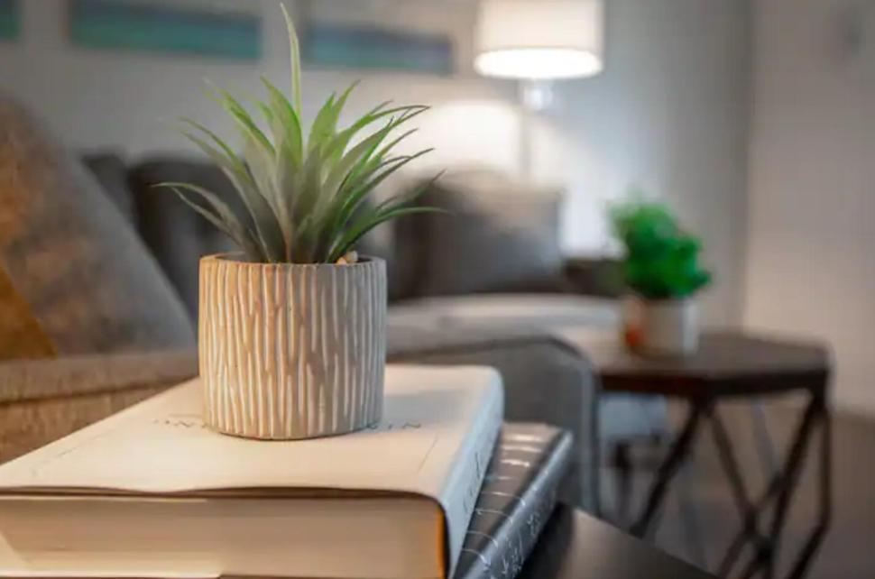 Modern Westshore Apartment 坦帕 外观 照片